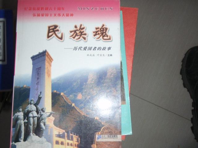 民族魂-歷代愛國者的故事