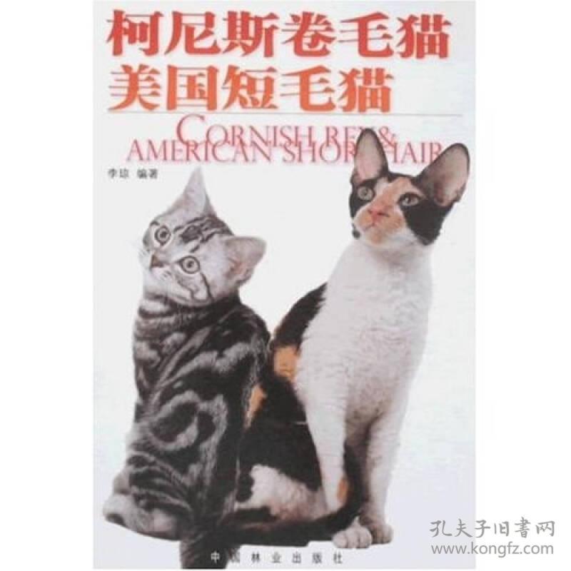 柯尼斯卷毛猫·美国短毛猫