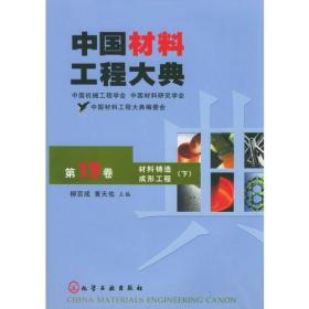 中国材料工程大典（第19卷）（材料铸造成形工程）（下）