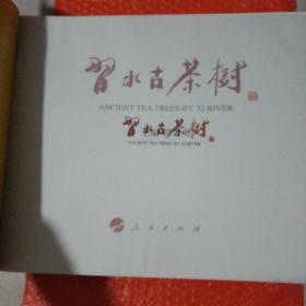 习水古茶树 有点水印，不影响
