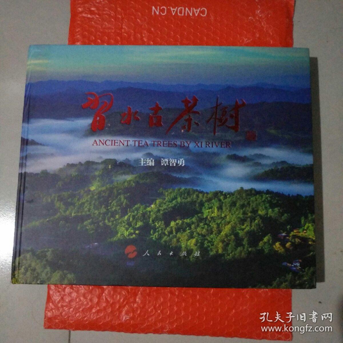 习水古茶树 有点水印，不影响