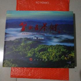 习水古茶树 有点水印，不影响