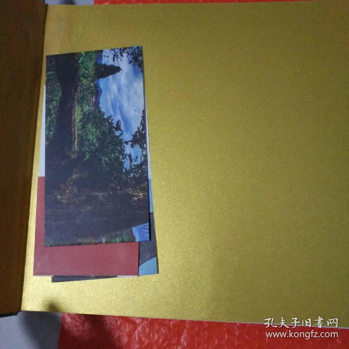 习水古茶树 有点水印，不影响