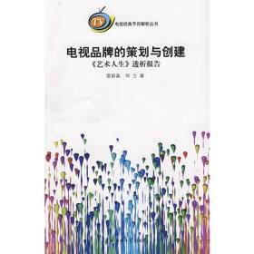 电视品牌的策划与创建：《艺术人生》透析报告