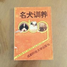 名犬训养----赏狗买狗养狗训狗治病管理摄影