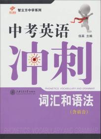 智立方中学系列·中考英语冲刺：词汇和语法（第二版，含语音）