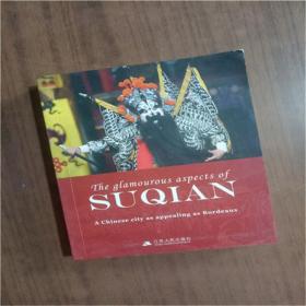 江苏高考语文附加40分精讲精练9787214077912  正版图书