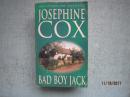 英文原版书 JOSEPHINE COX BAD BOY JACK THE NUMBER ONE BESTSELLER   详细书名请看图 B0173