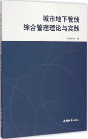 城市地下管线综合管理理论与实践