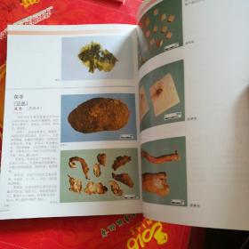 中国中药材真伪鉴别图典4（常用花叶、全草、动矿物及其他类药材分册）（第3版）