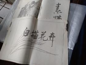 素描，白描花卉两本