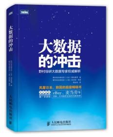 大数据的冲击-野村综研大数据专家权威解析9787115317872