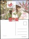 河北美术出版社出版-平山西柏坡董必武故居明信片，贴2013-6 桃花（12-7）带厂名邮票，盖首发日-河北石家庄纪念邮戳、桃园邮政所邮戳，自然极限片，不可多得的花卉专题邮品