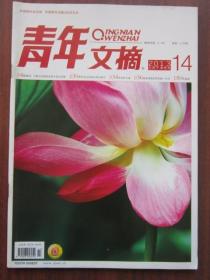 青年文摘 2013年14期