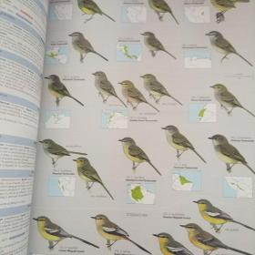 HBW and BirdLife International Illustrated Checklist of the Birds of the World. Volume1 Volume 2 原版精装 两册合售 第二卷书脊有磕碰看图