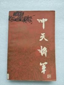 冲天将军