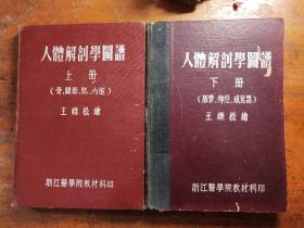 人体解剖学图谱（上下册）