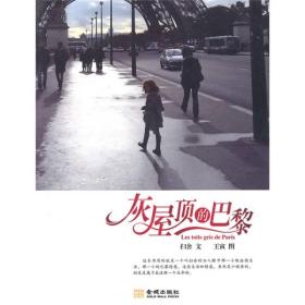 间隔年文化丛书：灰屋顶的巴黎