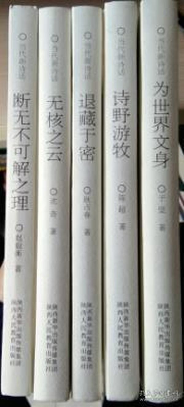 当代新诗话：为世界文身，诗野游牧，退藏于密，无核之云，断无不可解之理（精装，五册合售）【未拆封】