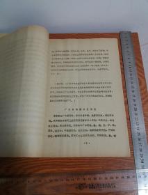 湛江文博简讯 湛江市博物馆编绝版油印 湛江历史湛江文物 吴川战国至宋文物 海康陶瓷 遂溪棺葬 邓世杰 陈学爱 李纲 康熙帝 海瑞 林召棠 陈昌齐