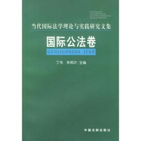 国际公法卷——当代国际法学理论与实践研究文集