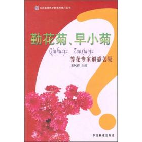 勤花菊、早小菊：养花专家解惑答疑