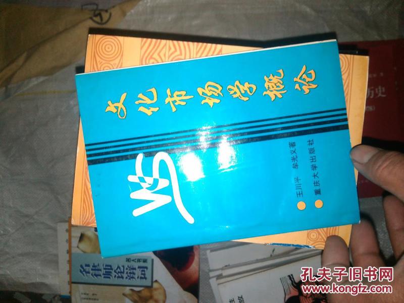 文化市场学概论