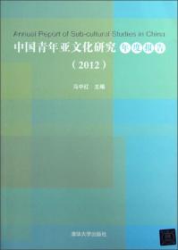 中国青年亚文化研究年度报告（2012）