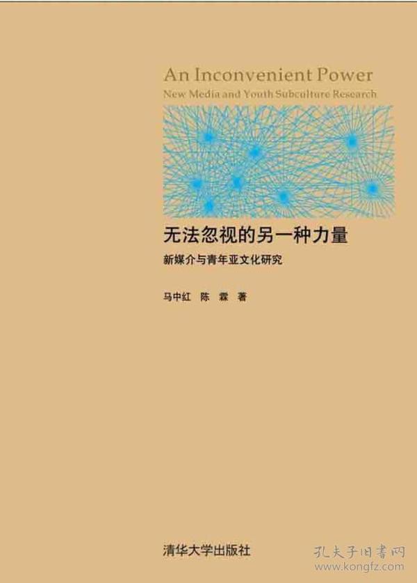 无法忽视的另一种力量：新媒介与青年亚文化研究