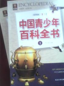中国青少年百科全书（一二）