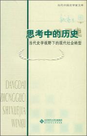 思考中的历史：当代史学视野下的现代社会转型