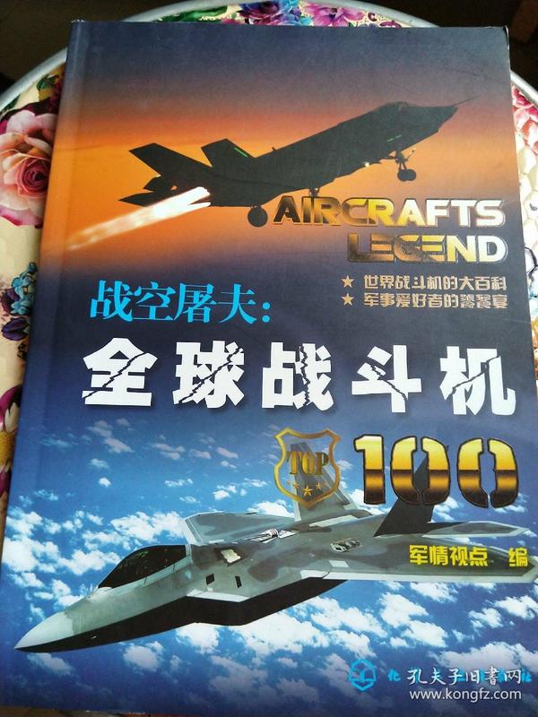 战空屠夫： 全球战斗机  100（16开画册）品好