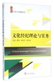 文化经纪理论与实务 颜海 武汉大学出版9787307173620