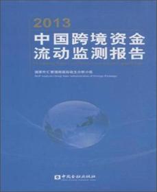 2013中国跨境资金流动监测报告