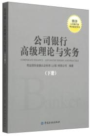 公司银行高级理论与实务（下册）