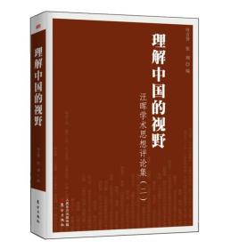 理解中国的视野：汪晖学术思想评论集（二）正版现货