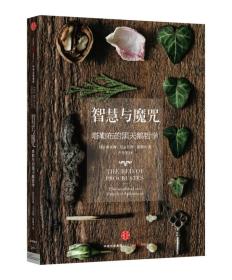 智慧与魔咒：塔勒布的黑天鹅哲学