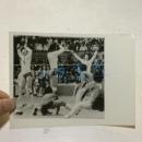 中国队夺得第三届世界杯女排冠军 1981年 新华社照片 3张合售    背面有说明 地点：日本大阪