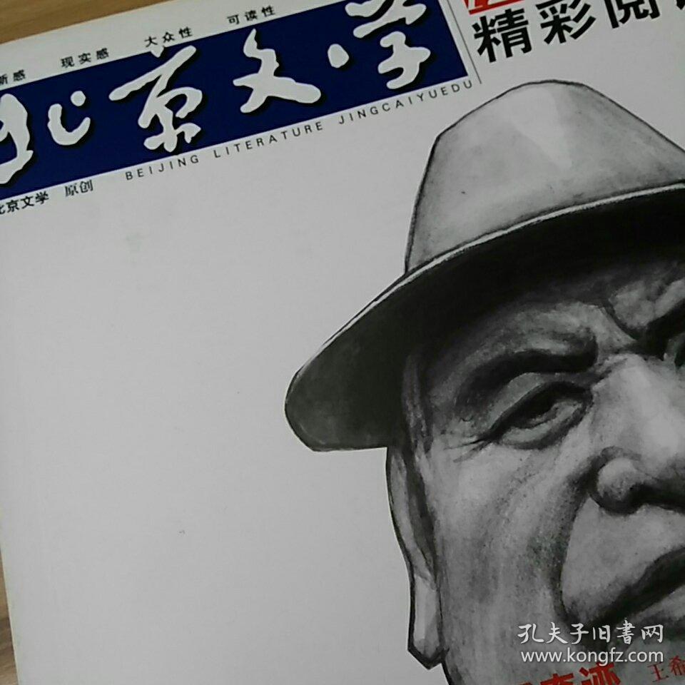 北京文学中篇小说月报2024年第11期