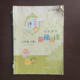 小学语文阶梯阅读六年级下册