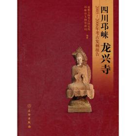 四川邛崃龙兴寺：2005-2006年考古发掘报告（精）