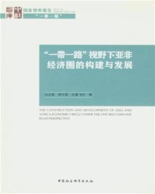 “一带一路”视野下亚非经济圈的构建与发展9787520300742