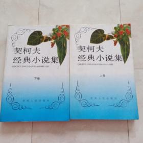 《契诃夫经典小说集》(上下)1995年一版一印。