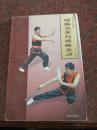 蝴蝶双掌与蝴蝶双刀 韩广玖  珠海出版社  2005年 85品
