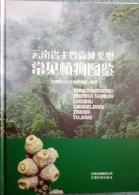 正版现货 云南省主要森林类型常见植物图鉴 董建昌等 云南科技