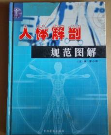 人体解剖规范图解    2    3  4  册    3册合售