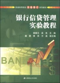 银行信贷管理实验教程/普通高等院校实验银行系列教材