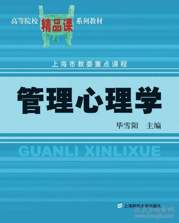 管理心理学 第二版 毕雪阳 上海财经大学出版社