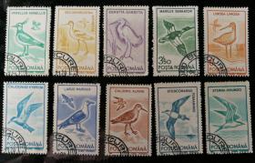 外邮：1991年，罗马尼亚“鸟类”邮票（10全，盖销）