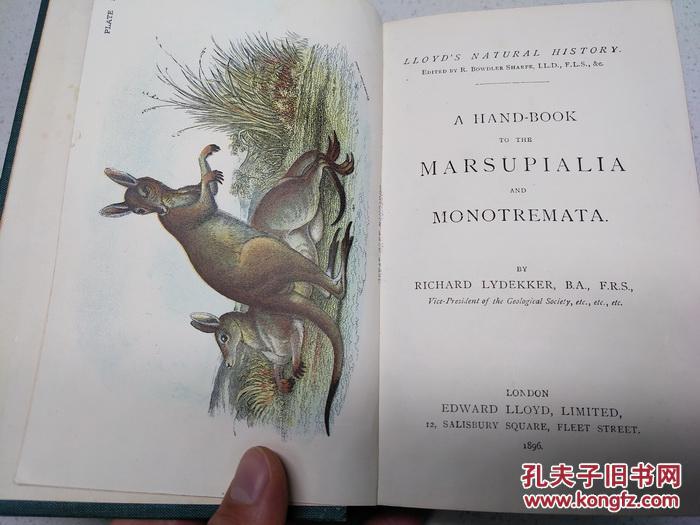 博物志石版画200枚！1896年版自然史 鳞翅类 有袋类 三本六卷全